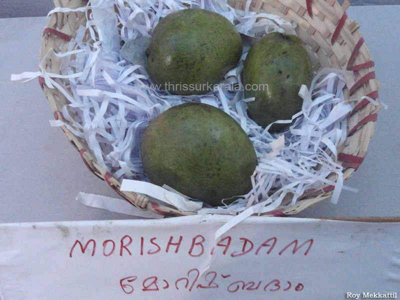 Morish Badam